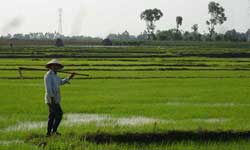 Students experience NGOs in rural Cambodia