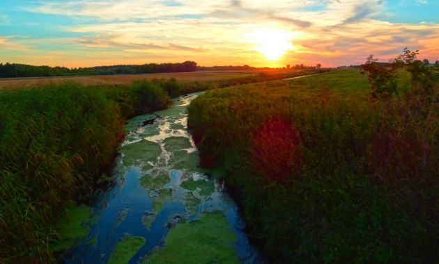 Strategies to modernise irrigation for food production and ecological outcomes revealed at global forum