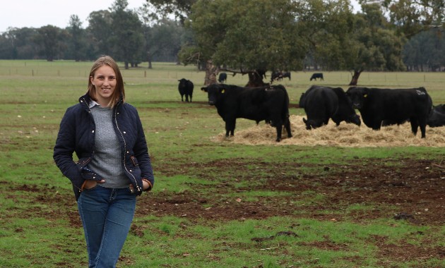 Survey shows beef producers want more information about hydatid disease