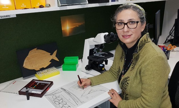 Where art meets science … and parasites: workshop draws on expertise