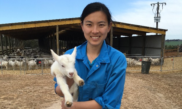 From silent, to severe. Q Fever research focusses on patient experience