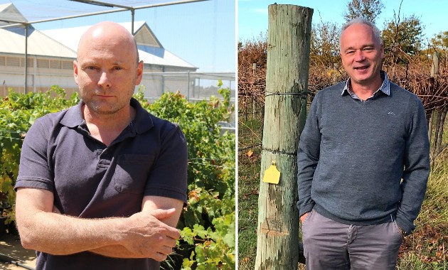 International recognition for viticulture research 