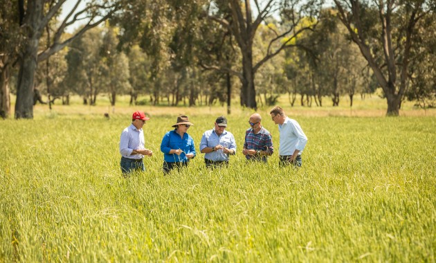 Regional Australia key focus of new Cool Soil partnership 
