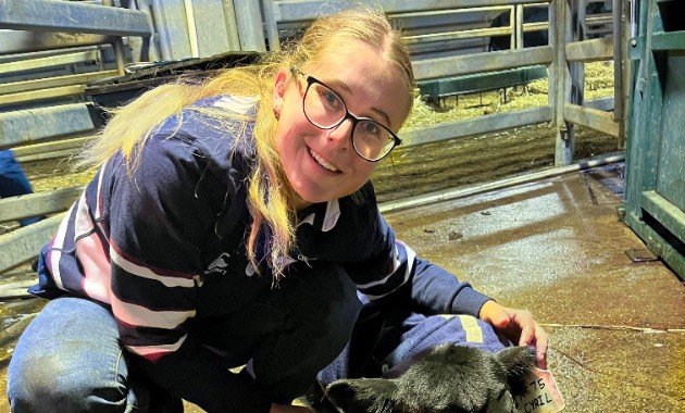 Cattle abortion study: researchers seek input from industry stakeholders 