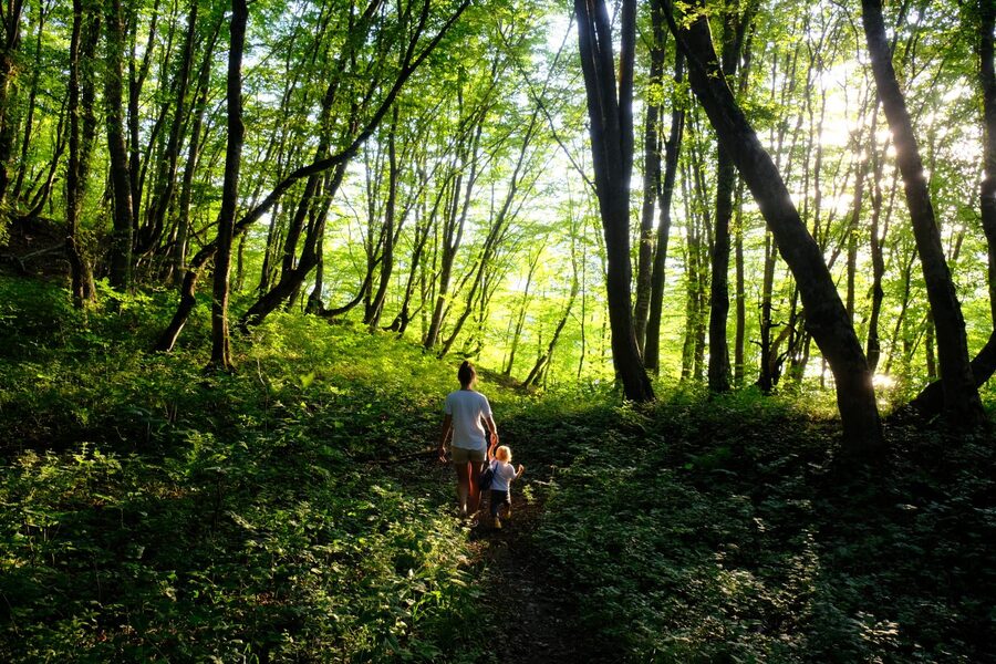 Adult and child on forest track