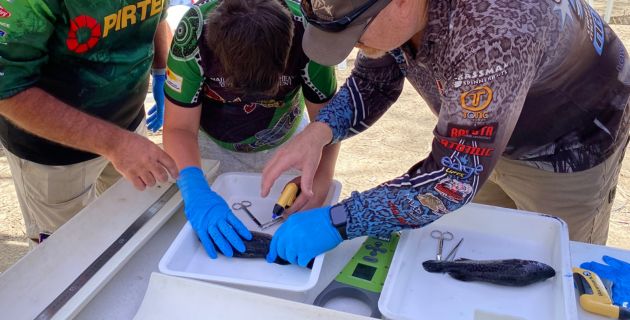 Citizen Science - FIsh tagging and recovery card image