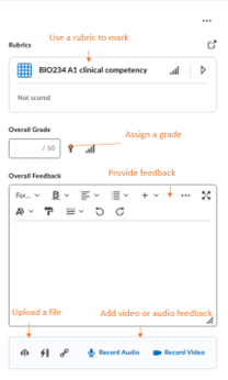 The right-hand side of the assignment evaluation screen provides options to mark with a rubric, assign grade, upload files, and provide feedback in text, audio, and video formats