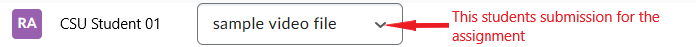 A dropdown box allows you to choose between a student’s submissions