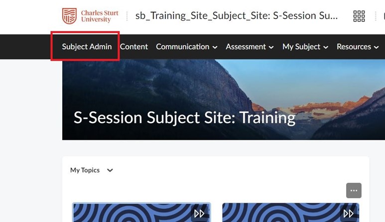 A screenshot of the subject navigation bar in Brightspace with the Subject Admin menu selected