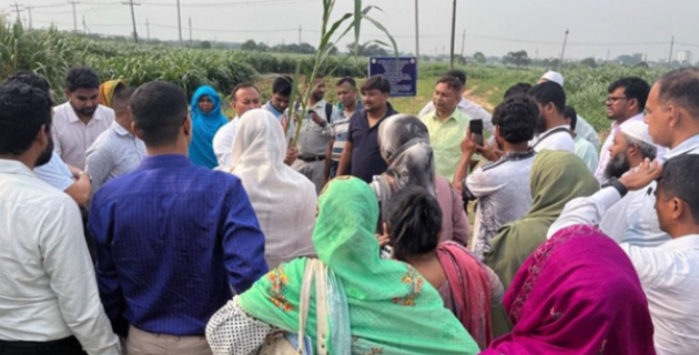 Enhancing livestock nutrition and resilience through Napier grass management training in Bangladesh