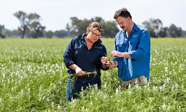 Dr Cass Schefe named finalist in global farmer awards for leadership in farm advisory services