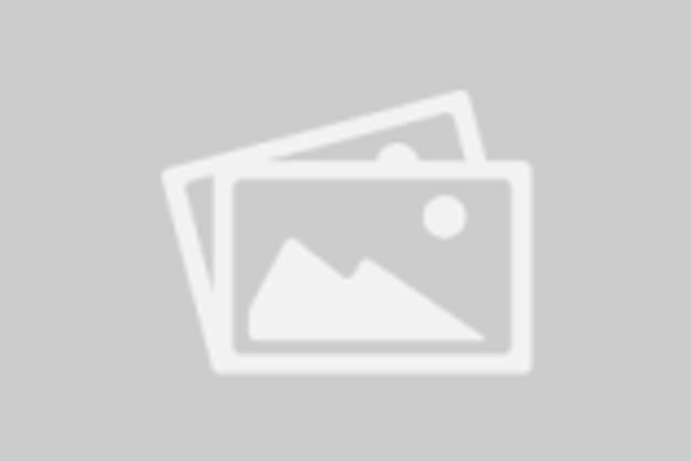 Senior Business Analyst