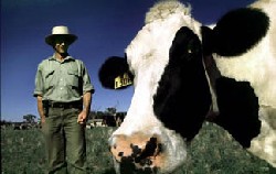 The Moroccan delegation has expressed interest in innovative agriculture techniques.)