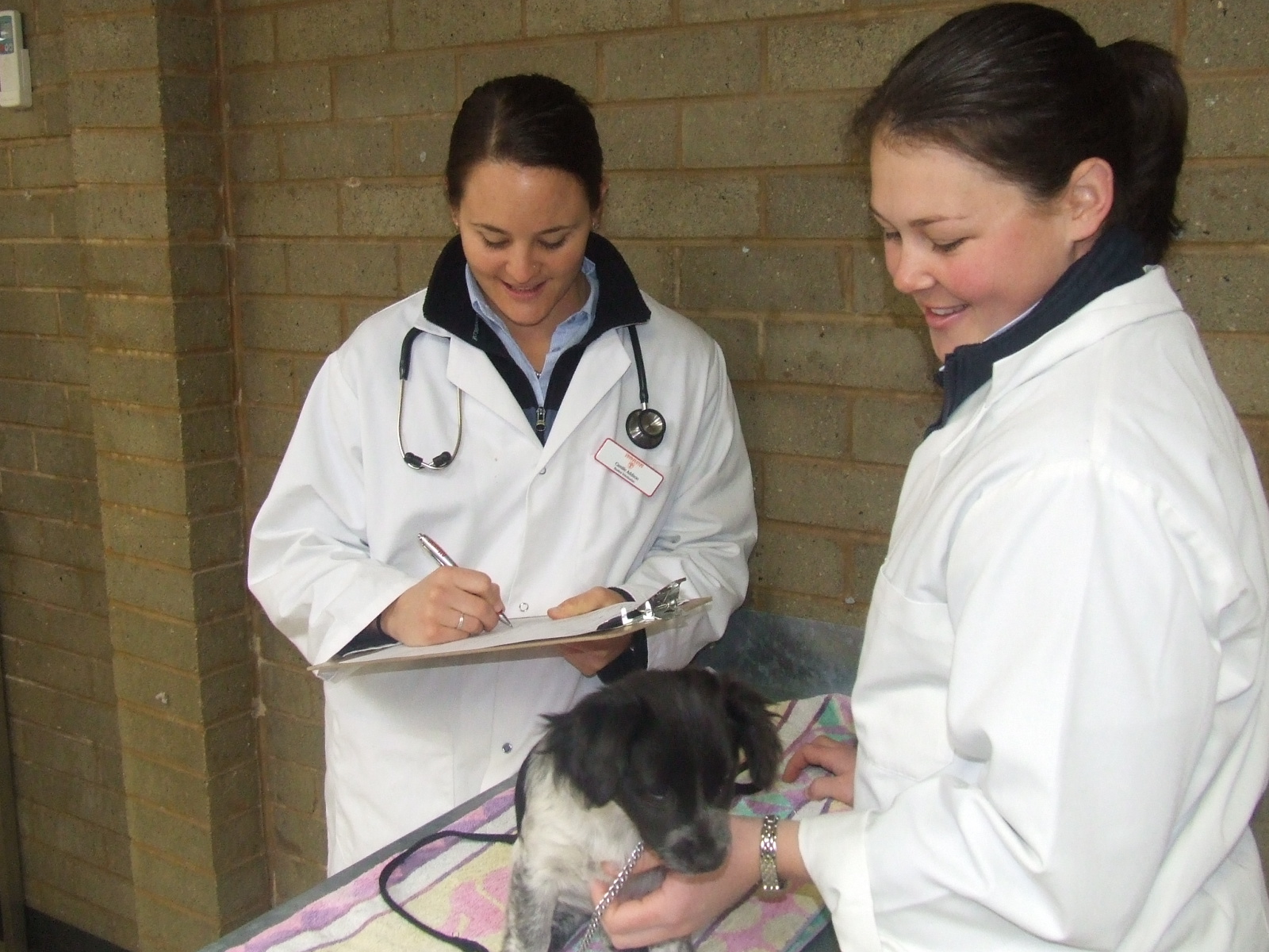 Veterinary science student Ms Emily Stearman (right) from Tamworth, NSW is one of 12 CSU students to receive the inaugural professional experience scholarships. 