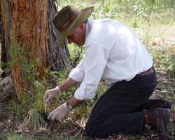 CSU researcher Dr David Jenkins collecting faeces for his project on hydatid worms in dogs. 