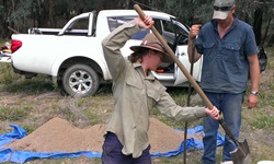 Civic environmental award for CSU student