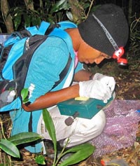 Dillian Nason from PNG