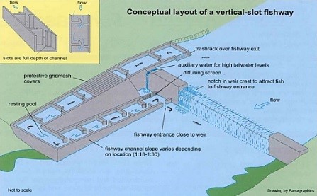 Conceptual layout of a vertical-slot fishway