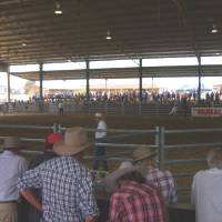 Riverina Equestrian Centre 