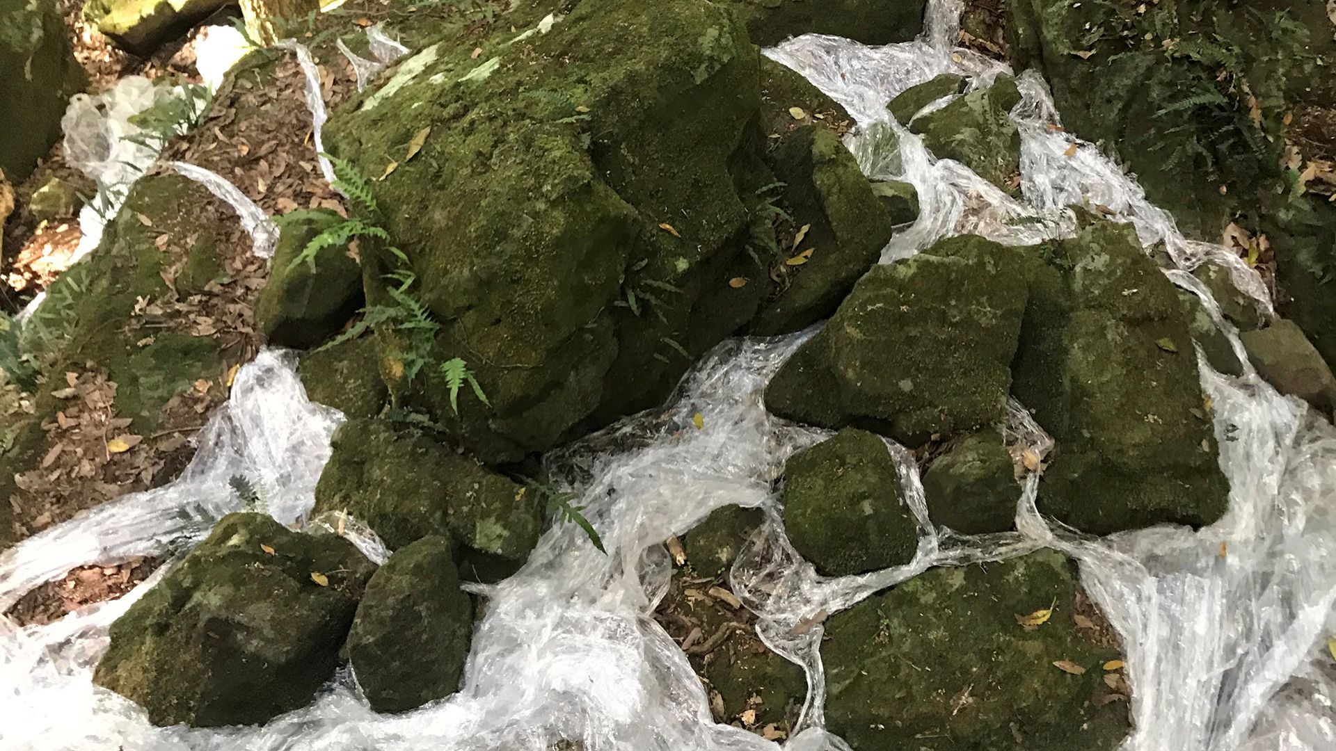 Student’s sculpture cascades at Blue Mountains exhibition