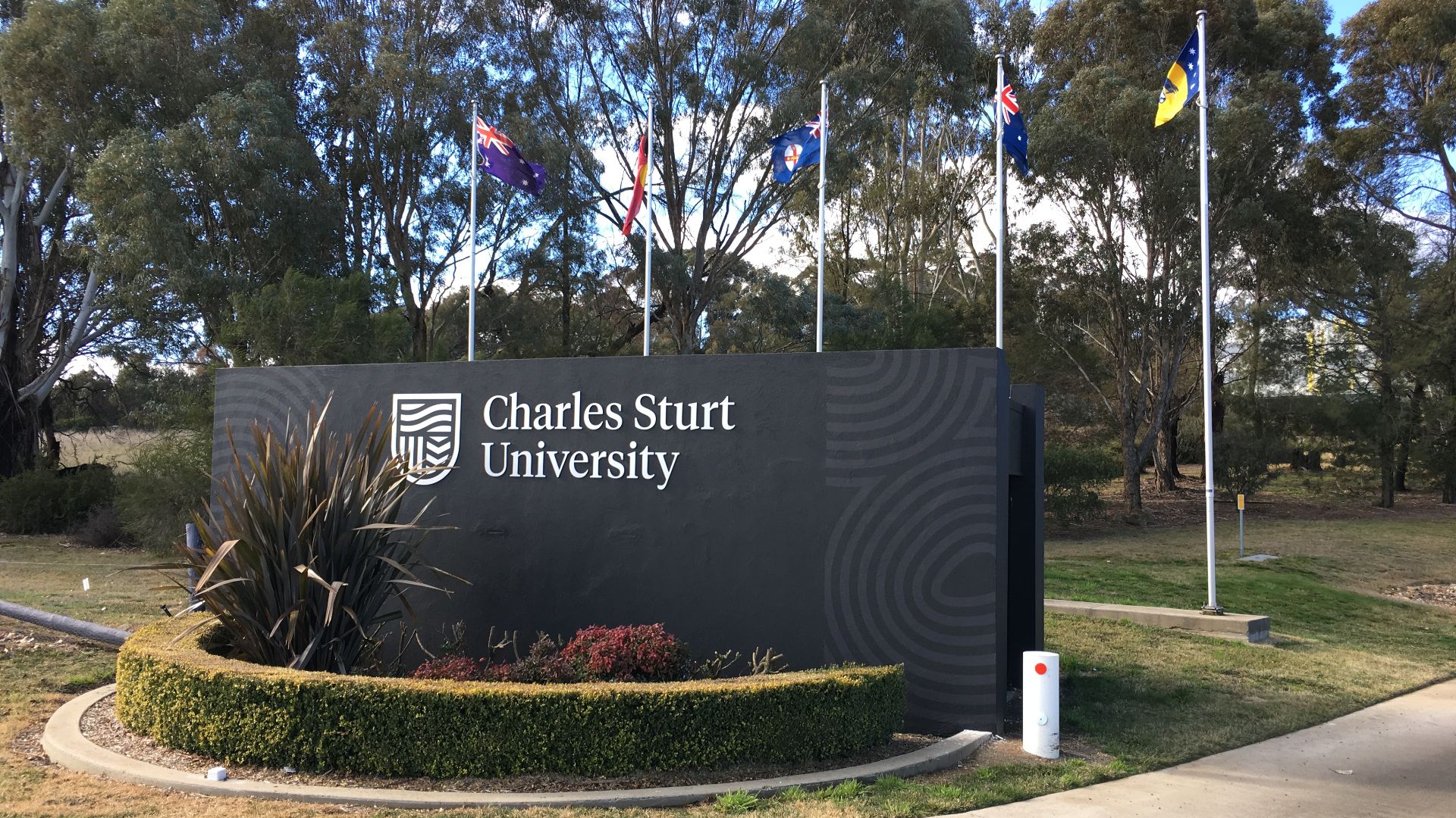 Charles Sturt awarded 'excellent' gender equality rating