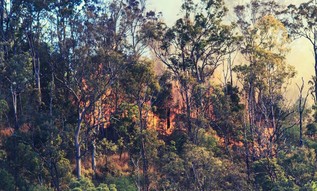 Charles Sturt continues to offer support during bushfire emergency