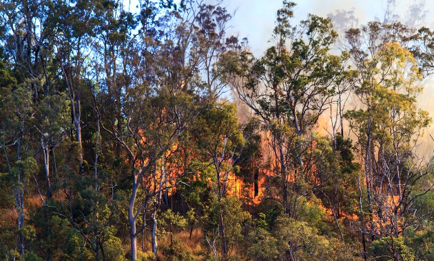 Charles Sturt boosts ADF emergency response capacity