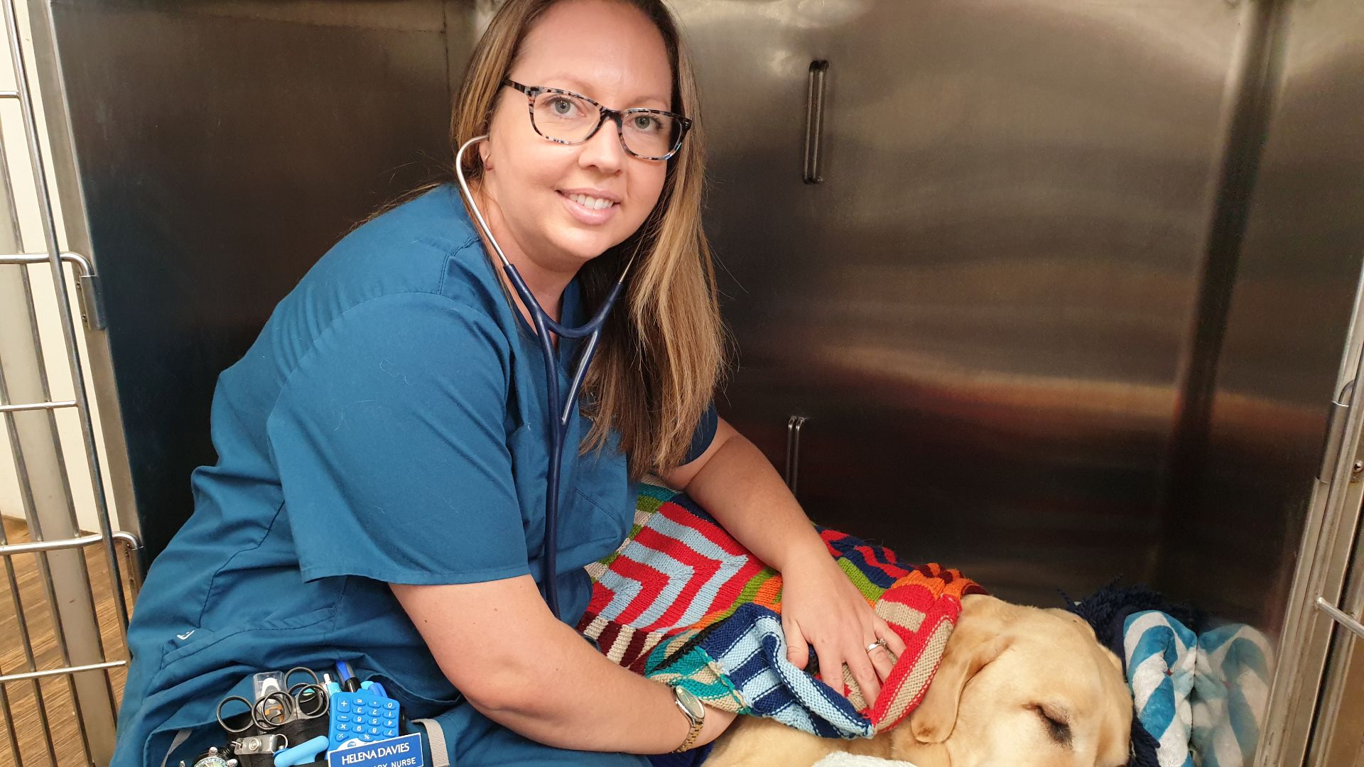 From TAFE to university: veterinary technology student shares why she decided to upskill