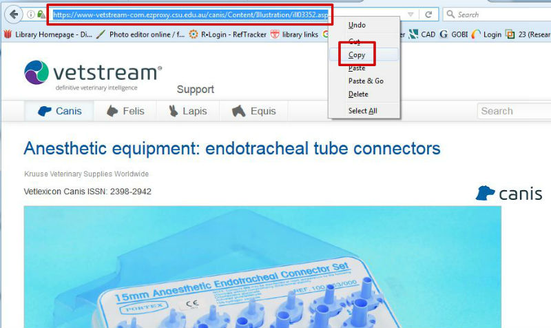 screen sample of the Vetstream website with the URL highlighted in the address bar