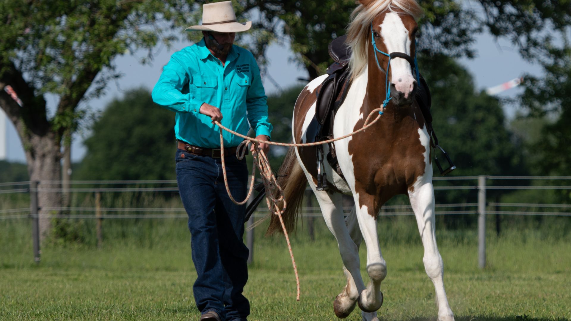 Equine Centre in Wagga Wagga to host renowned horse trainer