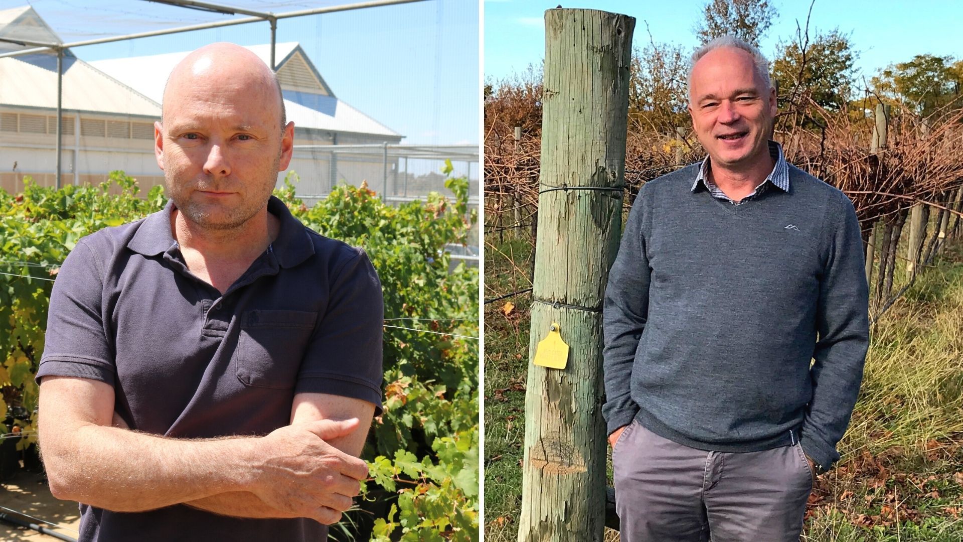 International recognition for viticulture research 