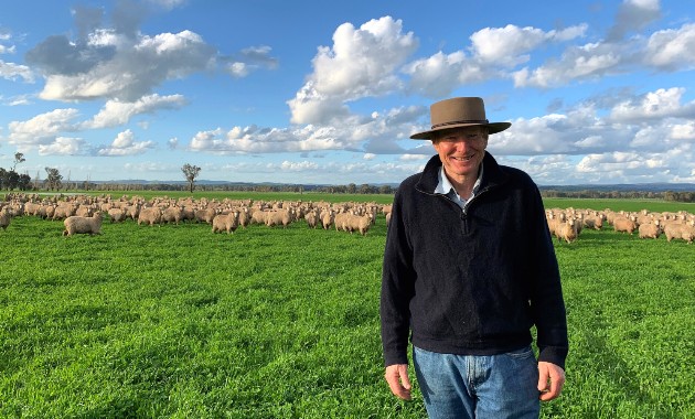 Benchmarking sustainability of Australian sheep industry
