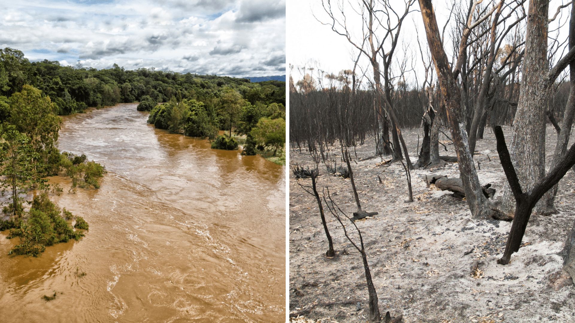 Rivers, fires and floods the focus of conference in Port Macquarie