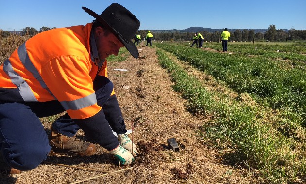 Charles Sturt releases the 15th annual Sustainability Scorecard on World Environment Day 