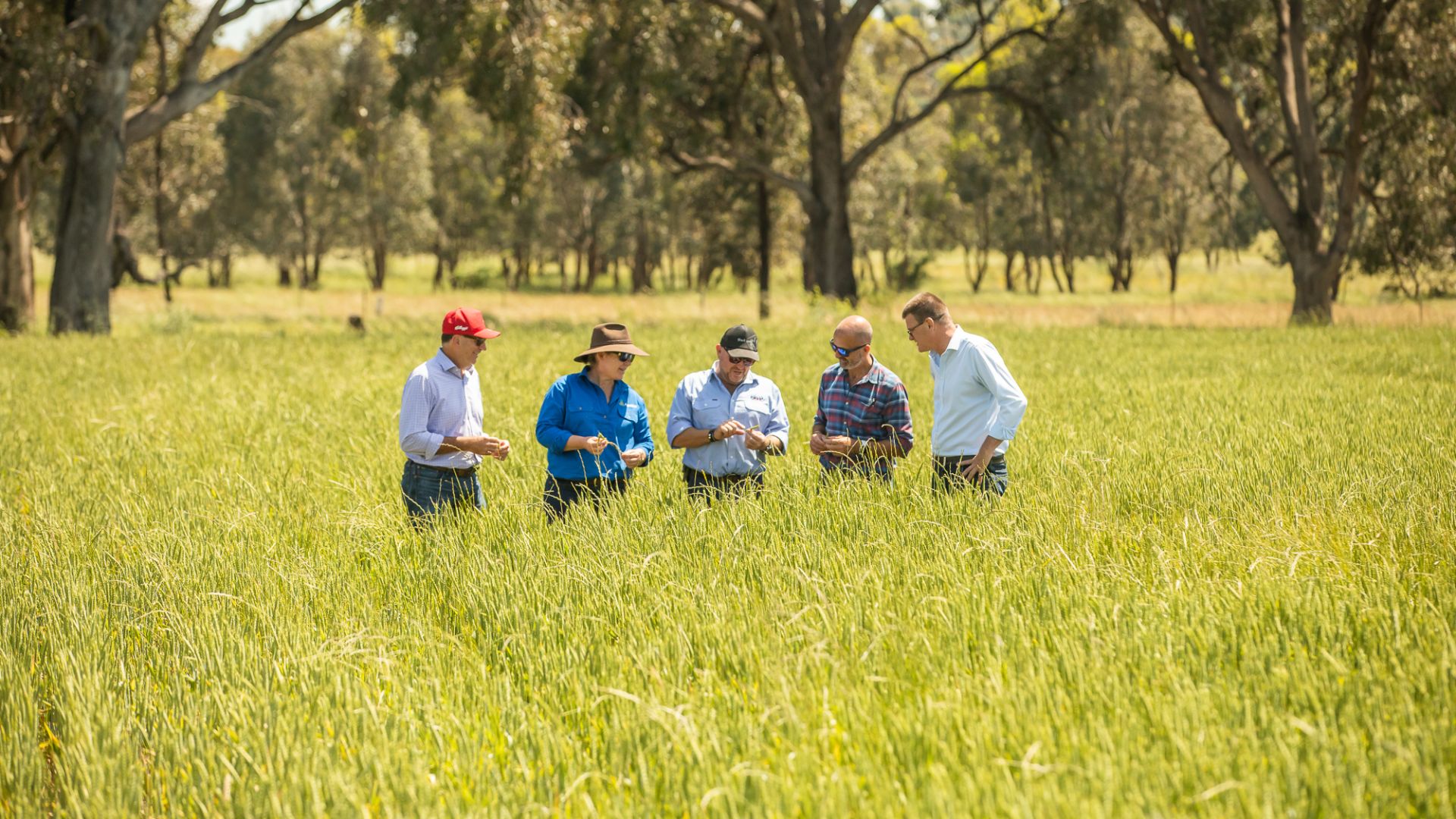 Regional Australia key focus of new Cool Soil partnership 