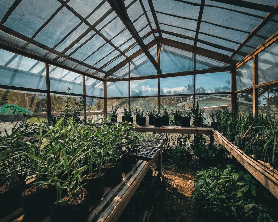 Interior of greenhouse