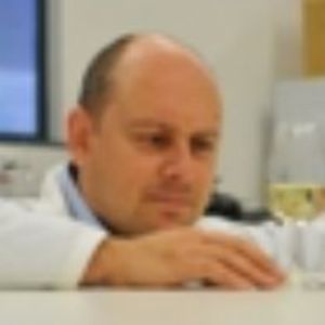 portrait of Professor Anthony Saliba