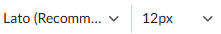 text formatting options