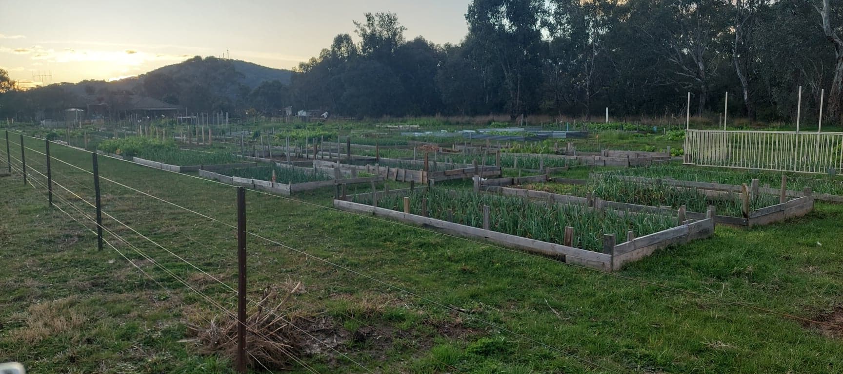 Additional Garden Beds constructed after the connection to a sustainable non-potable water supply in 2