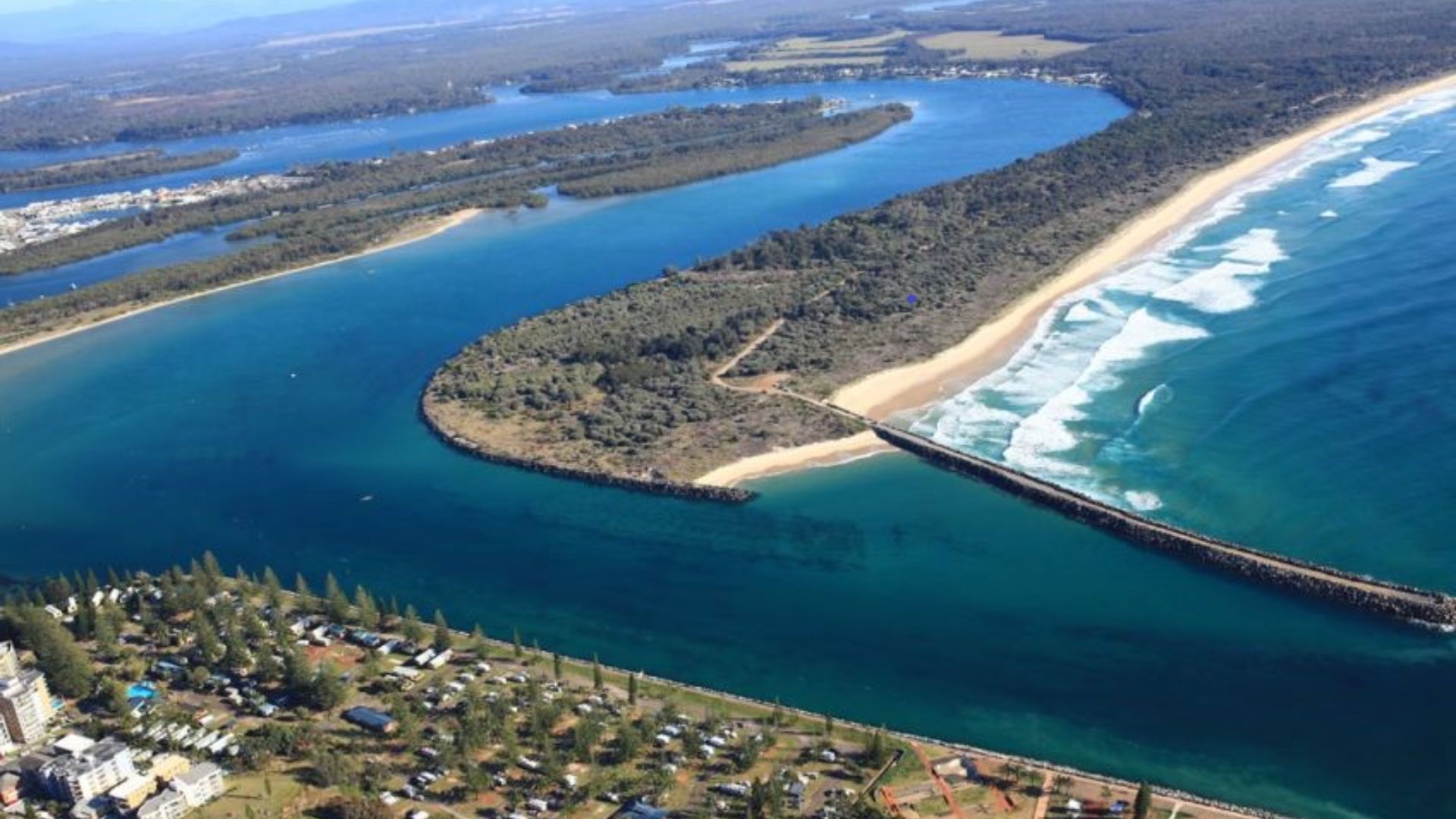 ‘Fish Talk’ in Port Macquarie to showcase results from a local research project