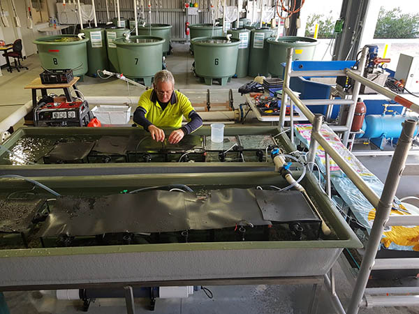 The 150 square metre aquatic lab