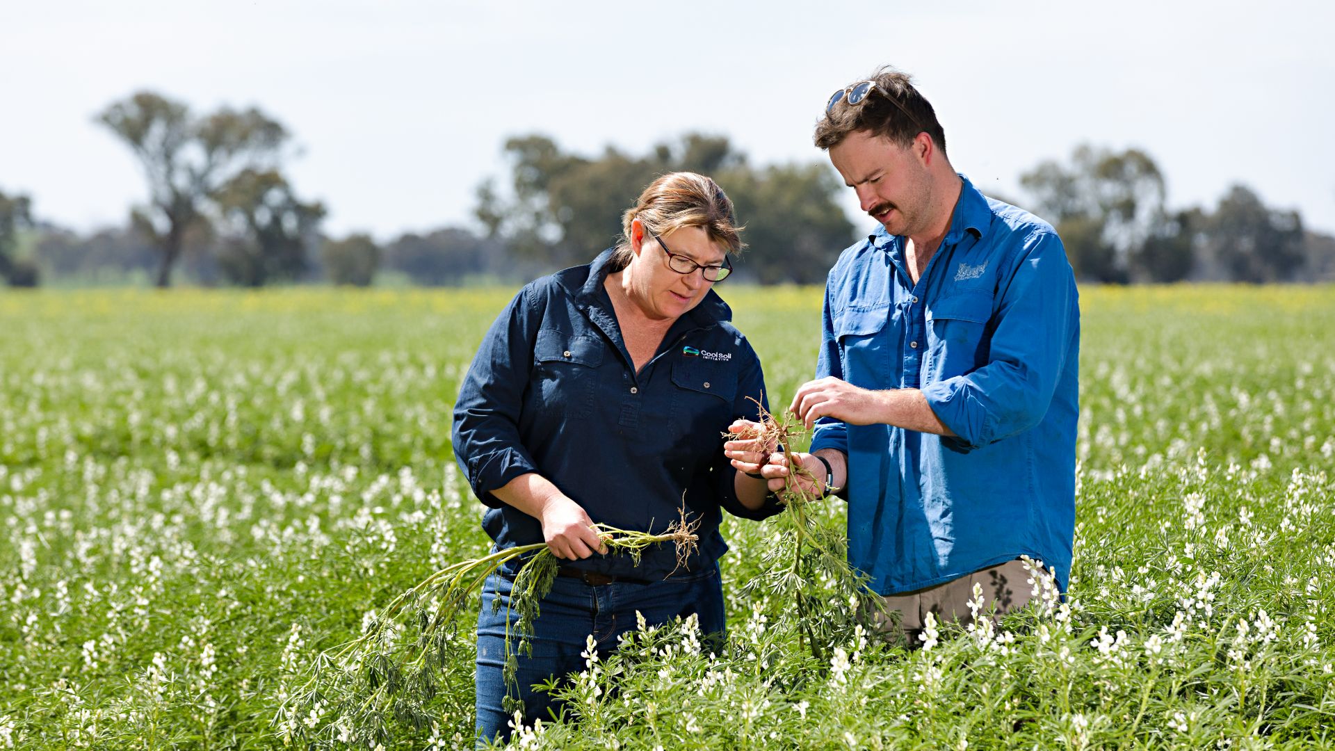 Dr Cass Schefe named finalist in global farmer awards for leadership in farm advisory services
