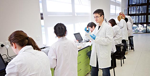 Faculties and schools