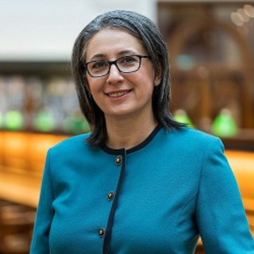 Professor Shokoofeh Shamsi profile