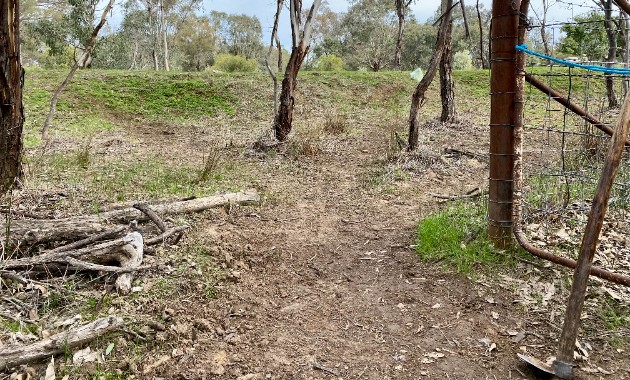 Of parks and paddocks