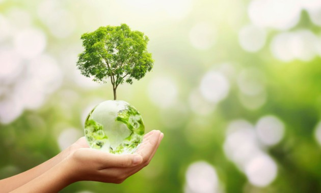 Charles Sturt’s sustainability leadership proven once again