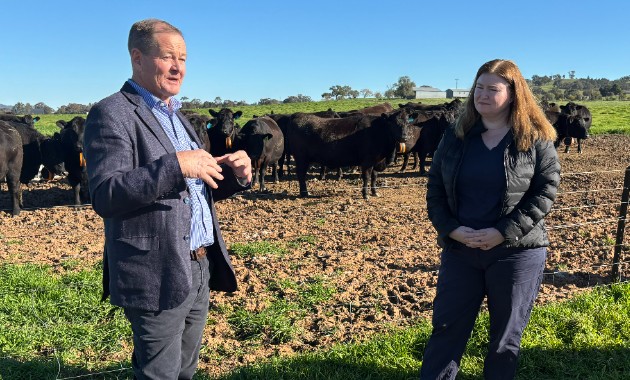 Virtual fences, real benefits: positive trial results indicate a game-changer for livestock sector