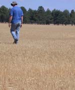 The Reliance Credit Union Orana Regional Business Survey for the September quarter of 2007 has been released by the WRI. 