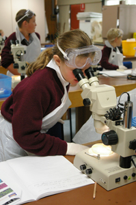 Borenore Public School students study micro organisms in CSU laboratory.