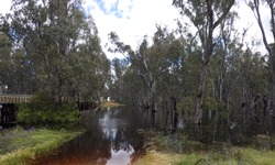 Research to mitigate blackwater impact